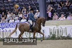 25R13_12897 thumbnail