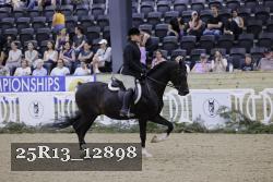 25R13_12898 thumbnail