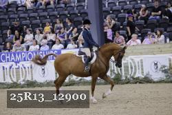 25R13_12900 thumbnail