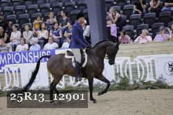 25R13_12901 thumbnail