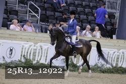 25R13_12922 thumbnail