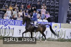 25R13_12923 thumbnail