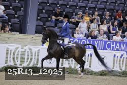 25R13_12925 thumbnail