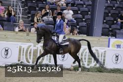 25R13_12926 thumbnail