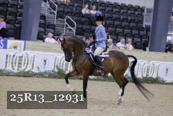 25R13_12931 thumbnail