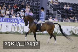 25R13_12932 thumbnail
