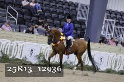 25R13_12936 thumbnail