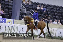 25R13_12937 thumbnail