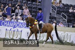 25R13_12938 thumbnail