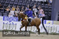 25R13_12939 thumbnail