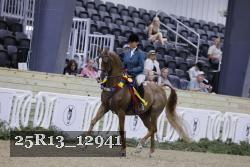 25R13_12941 thumbnail