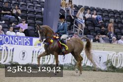 25R13_12942 thumbnail