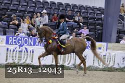 25R13_12943 thumbnail