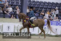 25R13_12944 thumbnail