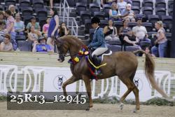 25R13_12945 thumbnail