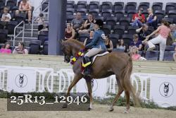 25R13_12946 thumbnail