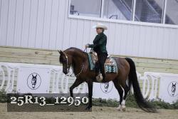 25R13_12950 thumbnail