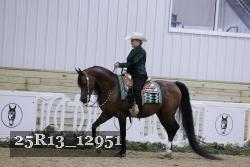 25R13_12951 thumbnail