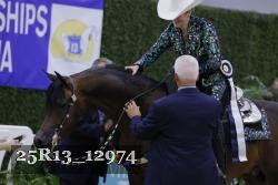 25R13_12974 thumbnail