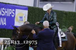 25R13_12975 thumbnail