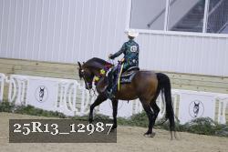 25R13_12987 thumbnail