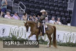 25R13_12989 thumbnail