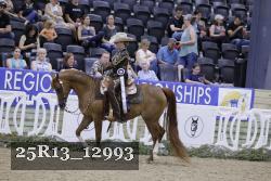 25R13_12993 thumbnail