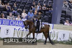 25R13_12996 thumbnail
