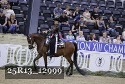 25R13_12999 thumbnail