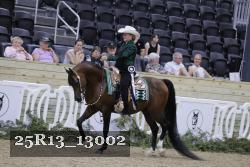 25R13_13002 thumbnail
