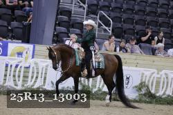 25R13_13003 thumbnail