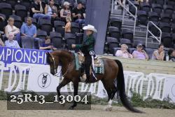 25R13_13004 thumbnail