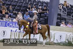 25R13_13016 thumbnail