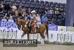 25R13_13017 thumbnail