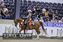 25R13_13018 thumbnail