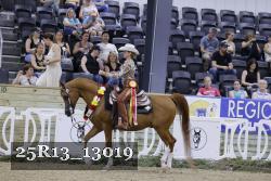 25R13_13019 thumbnail