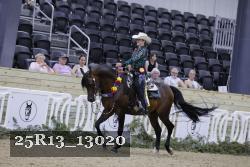 25R13_13020 thumbnail