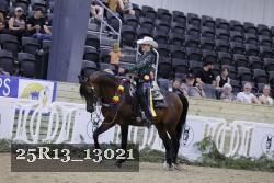 25R13_13021 thumbnail