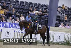 25R13_13022 thumbnail