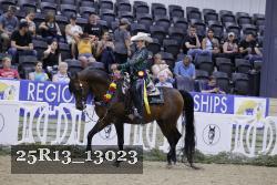 25R13_13023 thumbnail