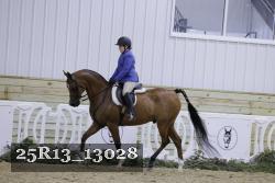25R13_13028 thumbnail