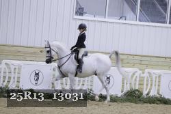 25R13_13031 thumbnail