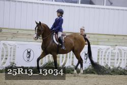 25R13_13034 thumbnail