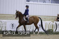 25R13_13036 thumbnail