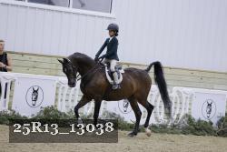 25R13_13038 thumbnail