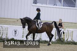 25R13_13039 thumbnail