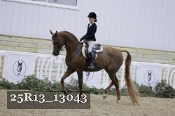 25R13_13043 thumbnail