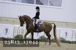25R13_13044 thumbnail