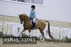 25R13_13045 thumbnail