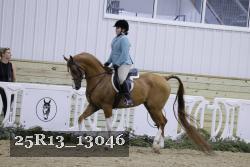 25R13_13046 thumbnail